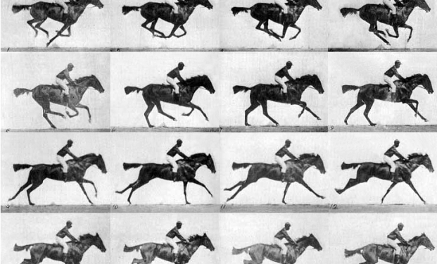 cheval du cinéma