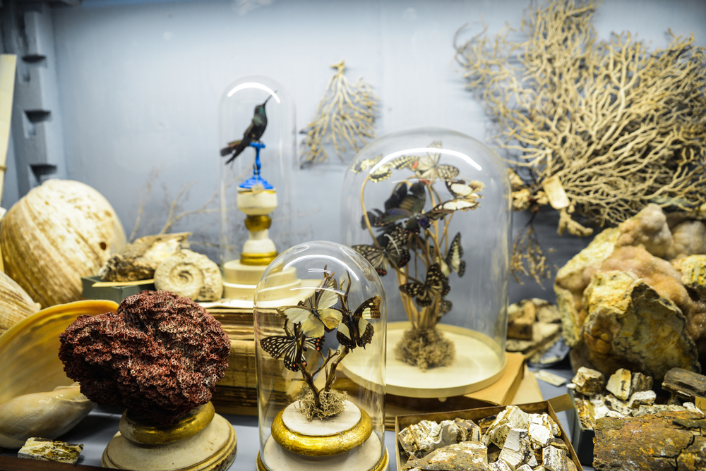 plusieurs objets en lien avec les contes